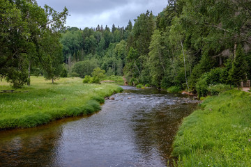rocky stream of river deep in forest in summer green weather with sandstone cliffs