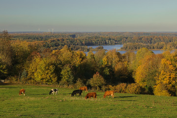 fantastisches Panorama vom Tüteberg auf den Naturpark Westensee im Herbst