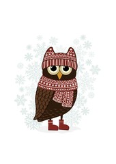 Christmas cartoon owl and snowflake