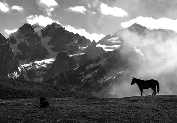 Horse iin mountain