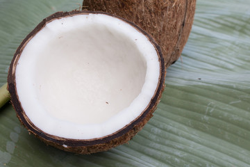 Close up of coconut on green background