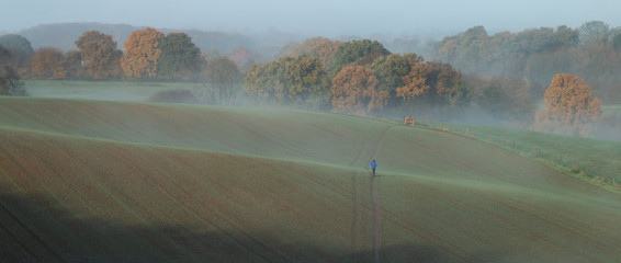 The Walker