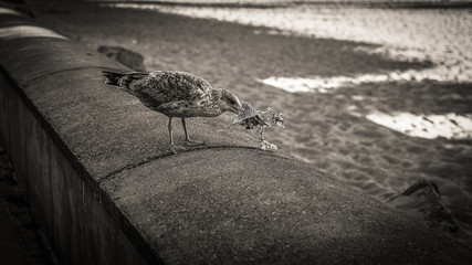 Herbstgefühle in Kühlungsborn