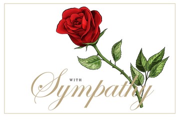 Condolences sympathy card floral red roses bouquet and lettering - obrazy, fototapety, plakaty