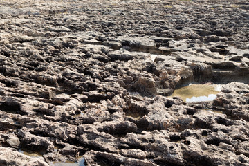 Stone background with traces of erosion by sea water