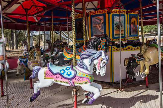 Horse On Merry Go Round Carousel