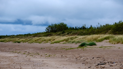 dirty beach by the sea with storm clouds above