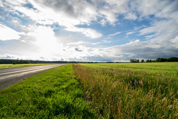 Obraz premium contrast rain storm clouds over green meadow and some trees in summer