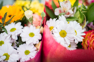 Obraz premium Floral