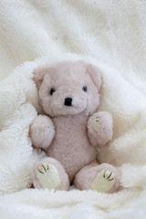 Teddy bear with live and gift