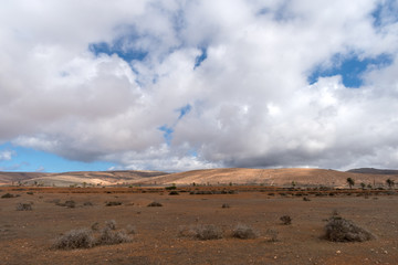 Arid landscape, Lanzarote, Canary, Spain