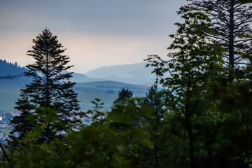 western carpathian Tatra mountain skyline with green fields and forests in foreground