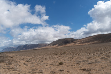 Fototapeta na wymiar Arid landscape, Lanzarote, Canary, Spain