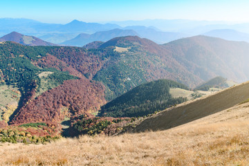 Obraz premium View the meadows in The Vratna valley at the national park Mala Fatra in sunny day