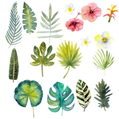 Set of watercolor colorful tropical leaves. 17 clipart.
