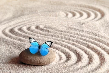 Wall murals Zen A blue vivid butterfly on a zen stone with circle patterns in the grain sand.