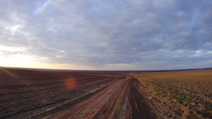Fototapeta premium Wide and endless field in the Ukrainian village