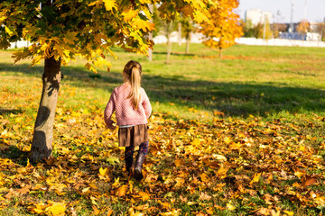 girl 4 years old walks in autumn park