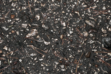 Texture of dirty crude asphalt with stones.
