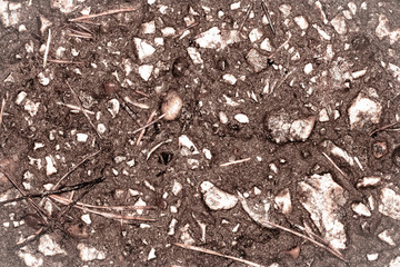 Texture of dirty crude asphalt with stones.