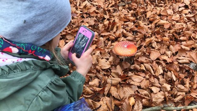 Little girl taking picture of red cap mushroom in the forest.
