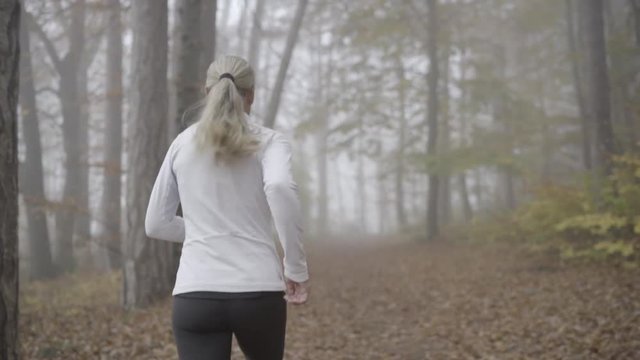 following one sporty 44 years old woman jogging on path with autumn leaves through deciduous forest und cold foggy misty day in slow motion