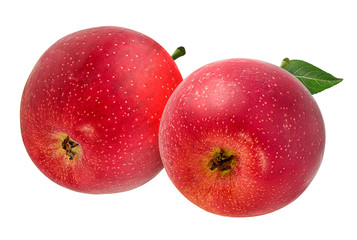 Fresh red apple isolated on white background with clipping path