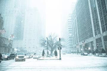 New York in a Snowstorm