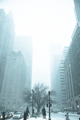 New York in a Snowstorm