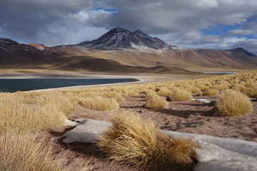Laguna Miscanti