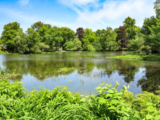 Park Pond
