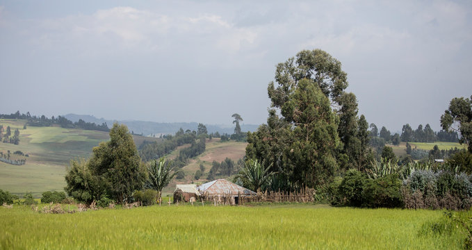 panorama of farm and farmhouse in the mountains of Ethiopia