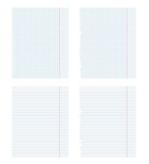 White pages of copybook, line and square. Vector objects isolated on white