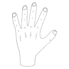 Hand icon. Vector illustration human hand. Hand drawn hands with fingers.