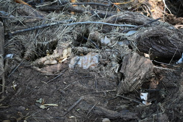 Human signature in nature