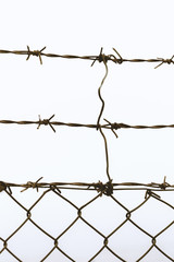 Close-up of rusty barbed wire, isolated on white