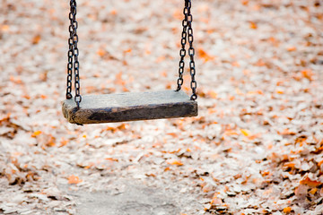 swing in the park and leaves in the background