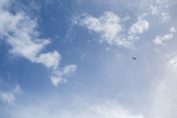 Blue Sky