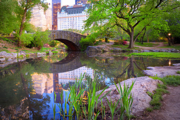 Bridge in Central Park, NYC - obrazy, fototapety, plakaty