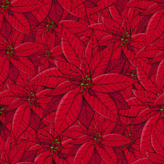 Seamless pattern with traditional homeplant poinsettia.
