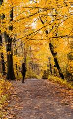 Fall at Dundas Peak