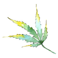 Cannabis green leaf. Isolated cannabis illustration element. Background watercolor illustration set.