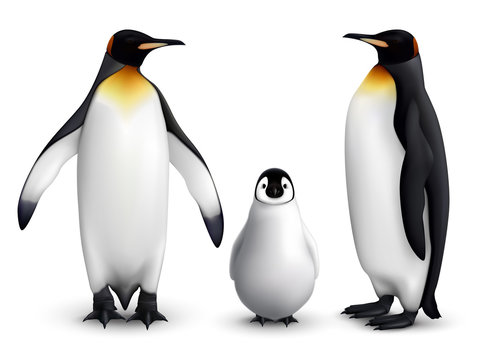 Penguin Realistic Set 