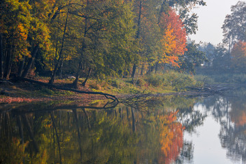 reflections in the water of colorful autumn trees