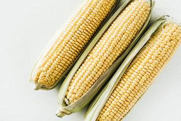 Ears of corn on white background. Flat lay, top view.