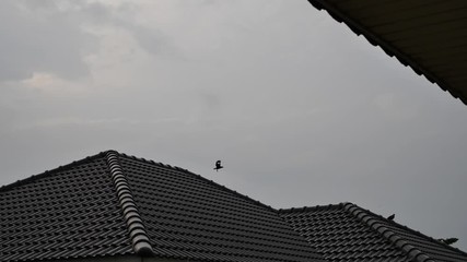 rainy day scene, water pouring rain falling on roof house - Powered by Adobe