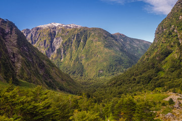 Enchanted Forest - Queulat National Park - Carretera Austral Chile