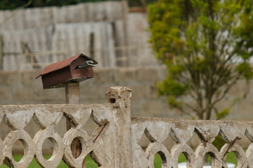 vintage mail box and stone fance with garden background