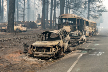 Destruction in Paradise, California Wildfire 