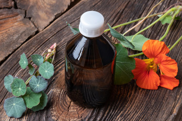 Nasturtium tincture with fresh Tropaeolum majus flowers